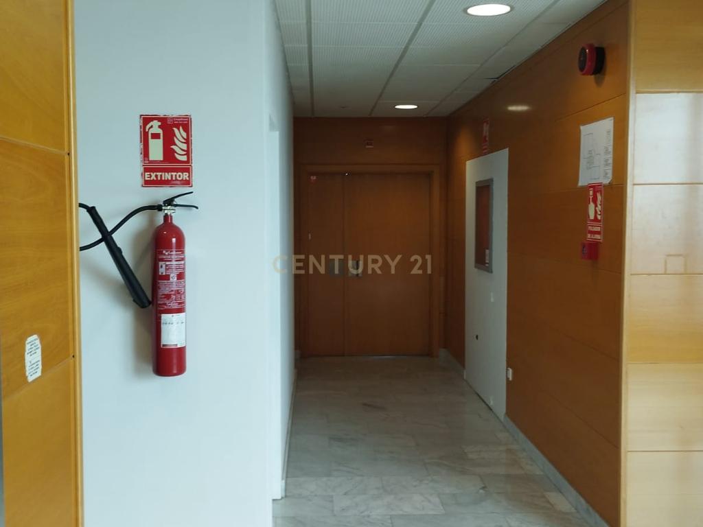 - Image 29